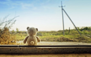 Teddy bear window sill field - liminal space free wallpaper