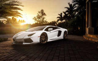 White sports car sunset palm - a white sports car free wallpaper