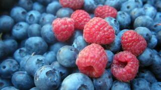 Blueberries raspberries macro photorealism blurry - berry free wallpaper for desktop