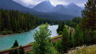 Train forest mountains river landscape - a river running free wallpaper
