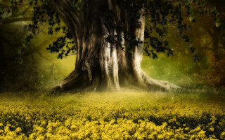 Tree field sunbeam autumn leaves - a green sky free wallpaper