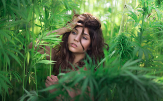 Woman hiding plant woods blurry - closed free wallpaper for desktop