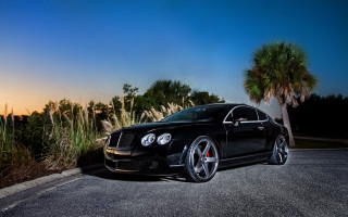 Black bentley sunset palm tree - the side of a road next free wallpaper