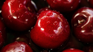 Red apples water droplets macro 2 - red apple free wallpaper