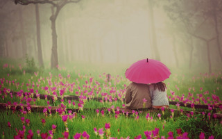 Couple umbrella flower rain romantic - romantic free wallpaper