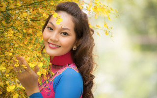 Woman blue pink dress yellow - fang congyi free wallpaper