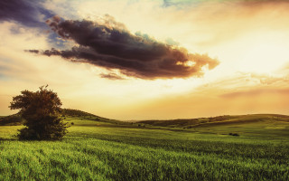 Field tree sky sunbeam landscape - a sunbeam in the foreground free wallpaper