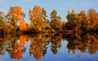 Lake trees orange leaves blue - orange leaf free wallpaper