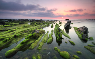 Sunset rocky beach moss water 6 - moss free wallpaper