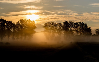 Foggy field person trees sunset - the sun setting free wallpaper