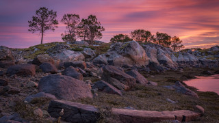 Rocky shore tree water sunset - a rocky shore free wallpaper