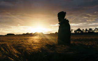 Wheat field sunset man portrait - the sun behind free wallpaper