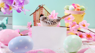 Bird card eggs flowers sign - whimsical free wallpaper