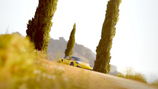 Yellow car hill trees nature - a few bush and trees free wallpaper