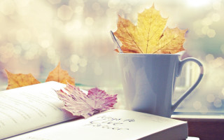 Book coffee leaf autumn bokeh - a book free wallpaper