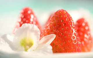 Strawberries flower plate water droplets - delaunay free wallpaper