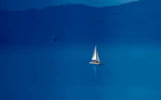 Sailboat water birds mountains blue - a sailboat free wallpaper