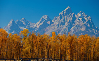 Mountain fence trees autumn leaves - the ground in front free wallpaper