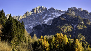 Mountain range trees snow blue - carlo carlone free wallpaper