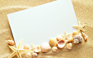 Blank paper seashells sandy beach - a starfish free wallpaper