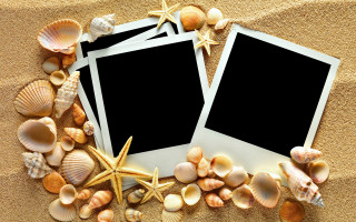 Beach polaroid shells starfish star - photographic free wallpaper