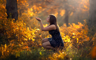 Woman kneeling forest butterfly autumn - a butterfly free wallpaper