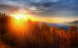 Sunset forest mountain clouds sunshine - a sun free wallpaper for desktop
