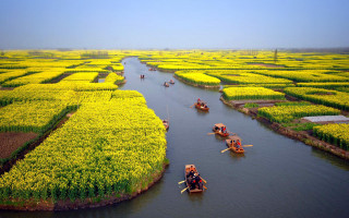 River people boats yellow flowers - cao buxing free wallpaper for desktop