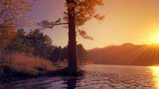 Sunset lake mountains trees autumn - a tree and mountains free wallpaper