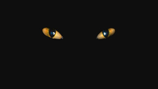 Glowing eyes cat dark background - black arts movement free wallpaper