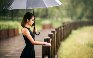 Woman umbrella bridge rain black - an umbrella free wallpaper