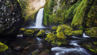 Waterfall forest mossyrocks flowingwater trees - a waterfall in a forest free wallpaper