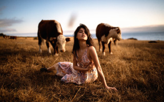 Woman field cows sunny day - cow free wallpaper