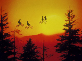 Biking group forest sunset background - over a forest free wallpaper