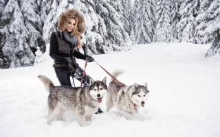 Woman dogs snow forest winter - two dog free wallpaper for desktop
