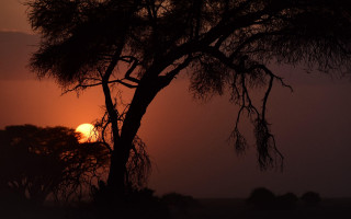 Sunset mountain lake bamboo tree - the sun in the background free wallpaper