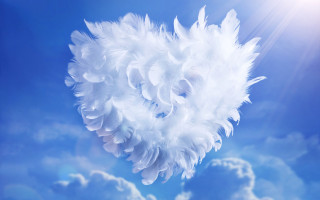 White feather floating sunny day - blue sky free wallpaper