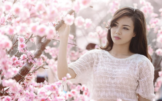 Woman pink flowers tree portrait - fei danxu free wallpaper