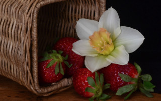 Basket strawberries flower table black - berry free wallpaper