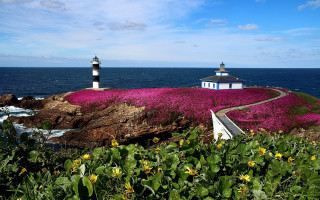 Lighthouse rocky cliff flowers path - a rocky cliff free wallpaper