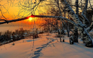 Sunset snowy forest path water - winter free wallpaper