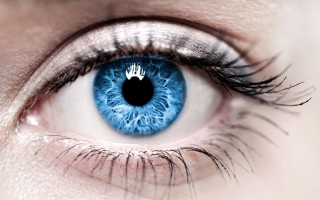 Blue eye white ring black - realistic eye free wallpaper