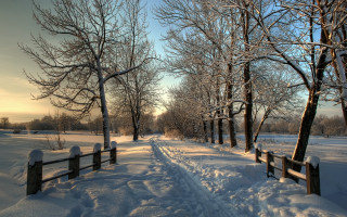 Snowy path fence trees sunset - a fence and trees free wallpaper