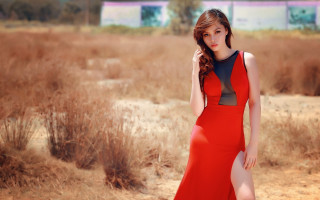 Woman red dress field bushes - dry free wallpaper