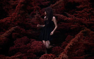 Woman black dress forest autumn - surreal photography free wallpaper for desktop