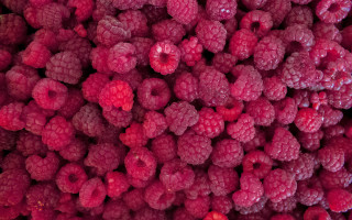 Raspberries bouquet macro art flowers - a bunch of raspberries free wallpaper
