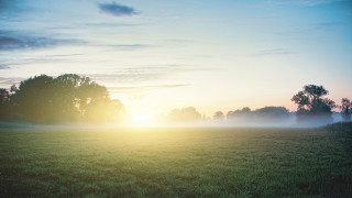 Foggy dawn trees sunset lake - anamorphic free wallpaper for desktop