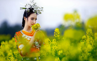 Woman flower field smile braid - bian jingzhao free wallpaper