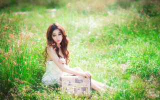 Woman field suitcase brown eyes - her hand and a suitcase free wallpaper