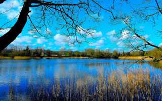 Lake trees clouds impressionism autumn - lake free wallpaper